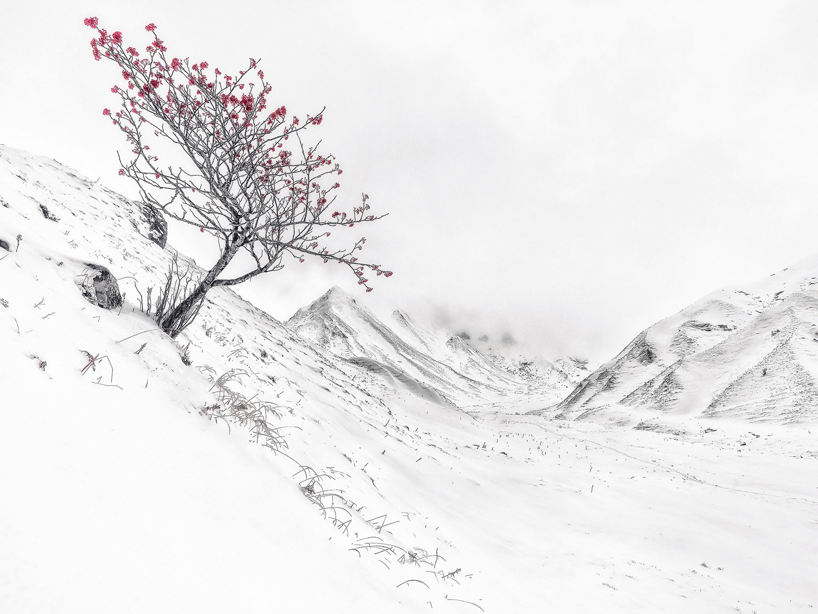 Hiver en Auvergne : Estampe chinoise
