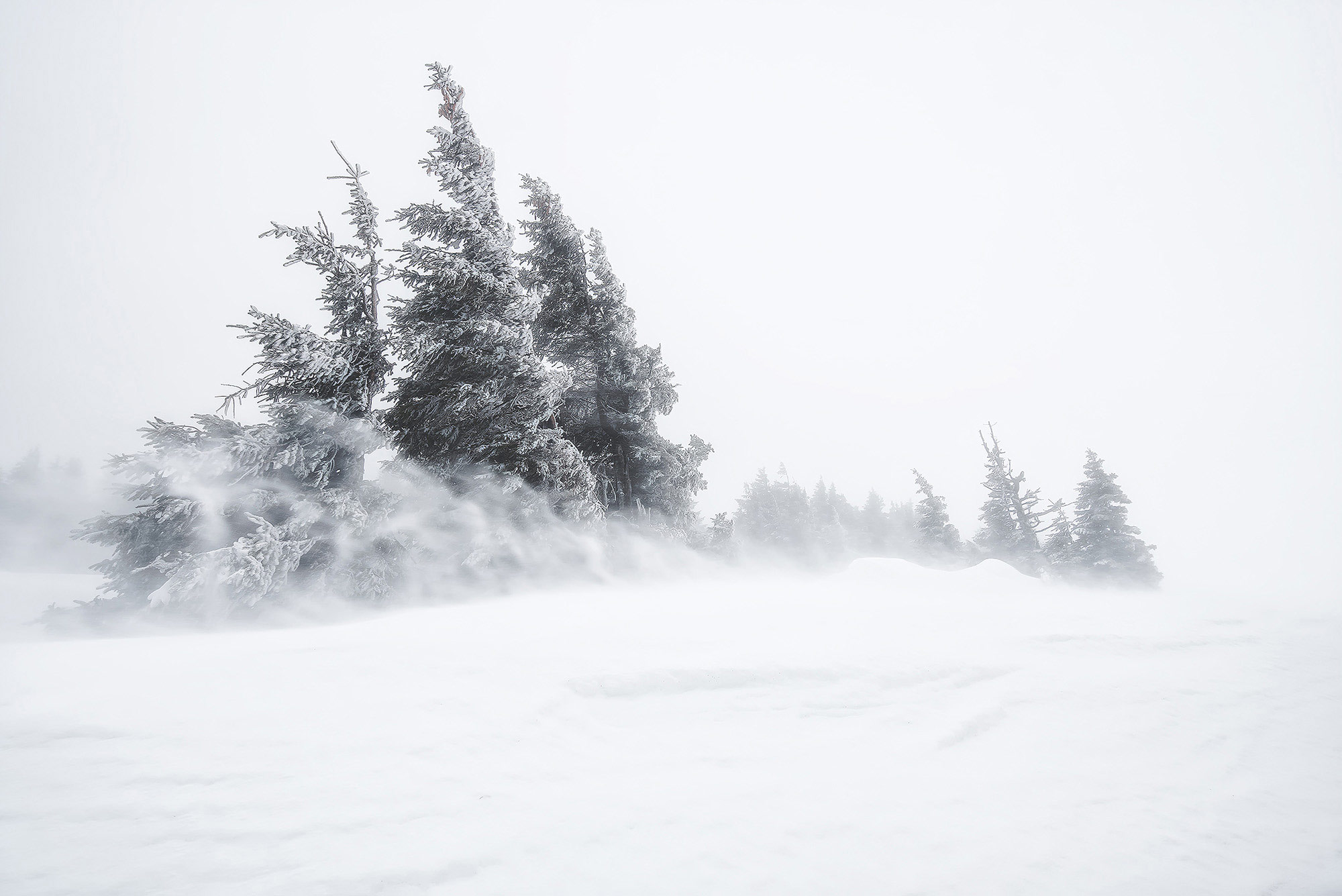 Hiver en Auvergne : Tempête de neige
