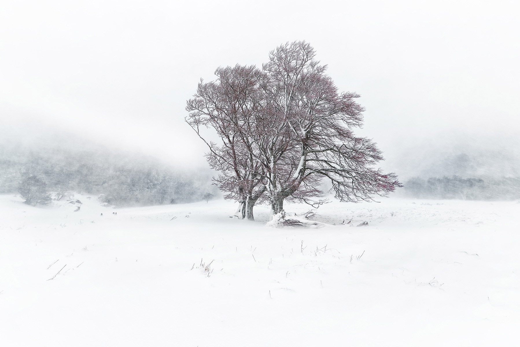 Hiver en Auvergne : Vallée de Chaudefour