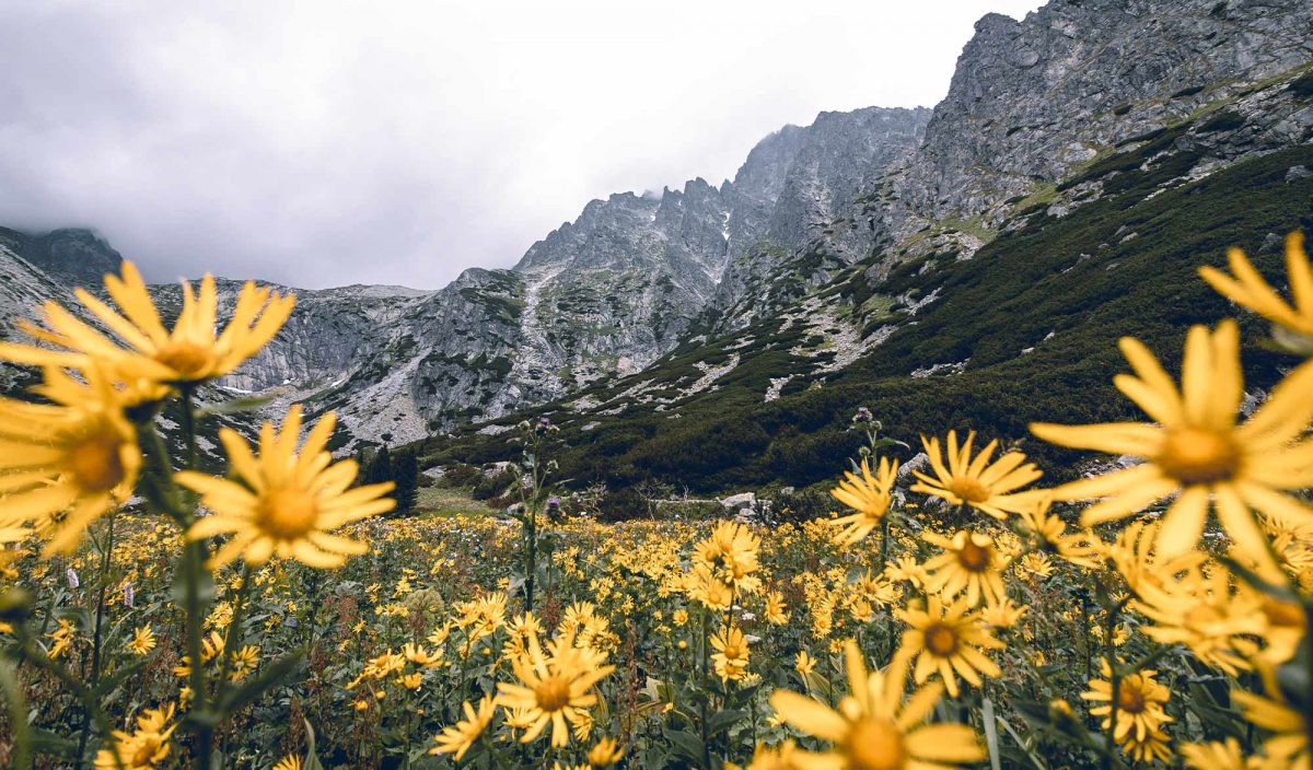 Sur les crêtes des Tatras en Pologne