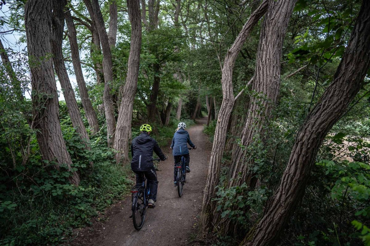 Rando Vélo en forêt