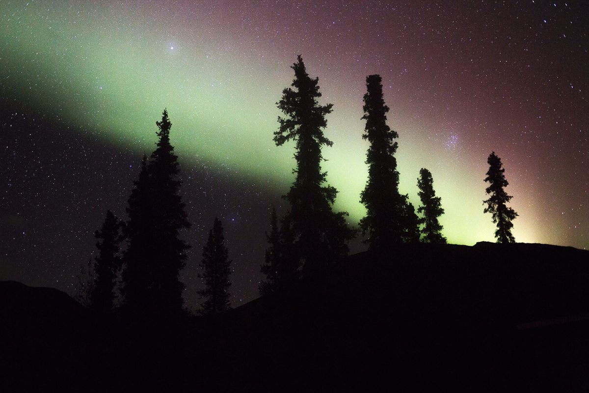 « S’abandonner au sauvage » : 500 km en canoë en autonomie dans le Grand Nord canadien