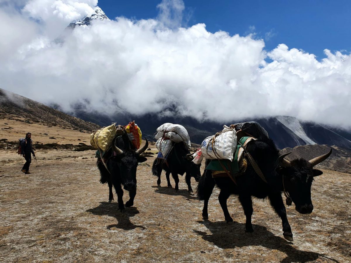 ascension du Baruntse par Marek Holecek et Radoslav Groh