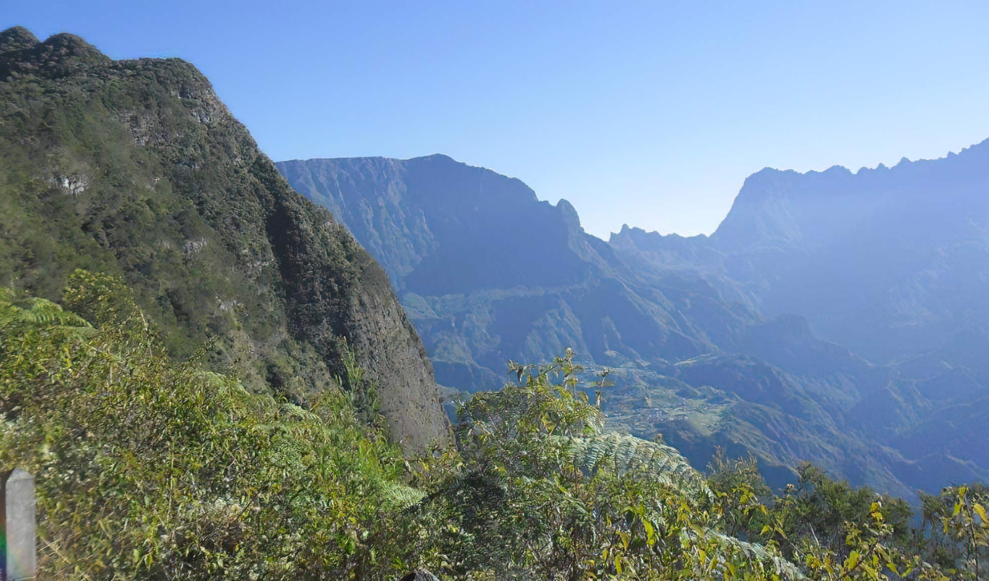 Forêt des Makes à la Réunion