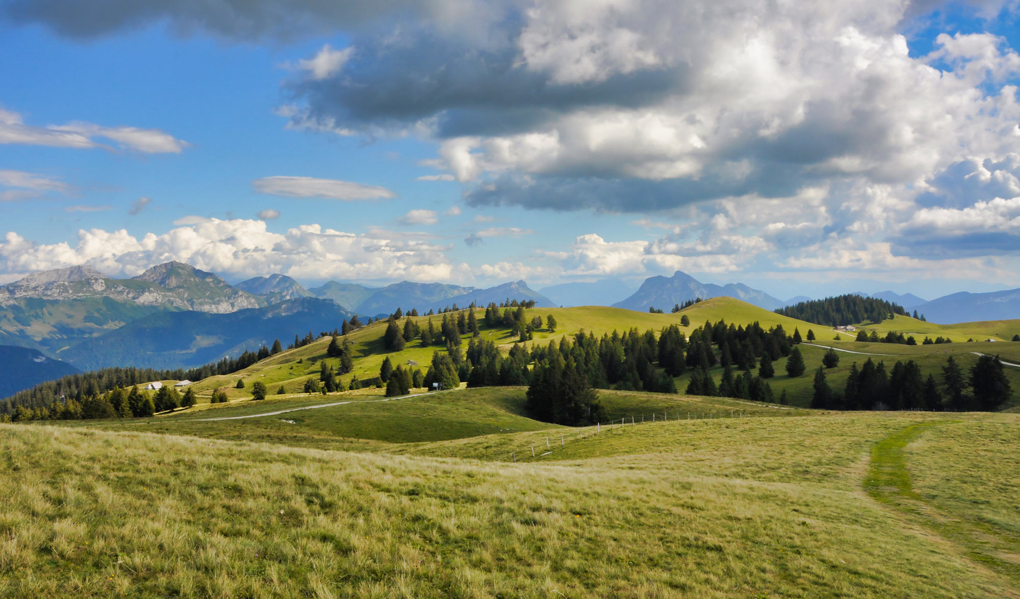 Forêt du Semnoz