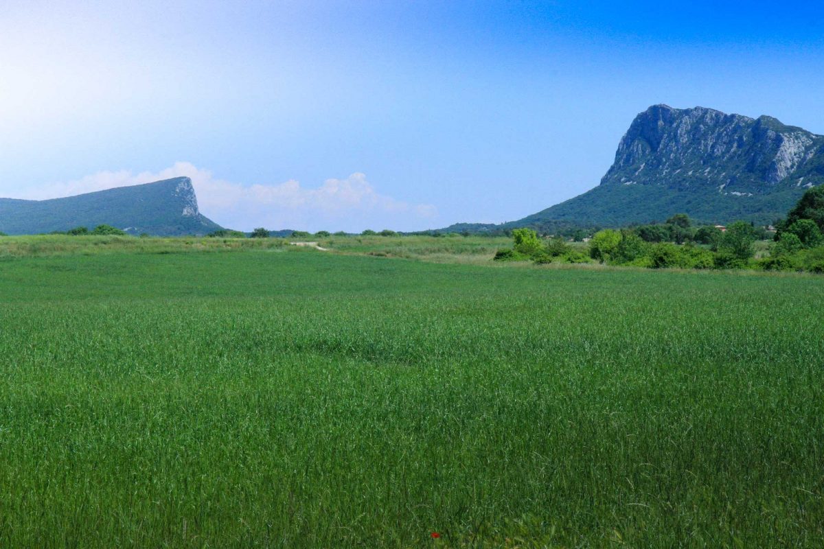 Trek sur le GR Pic Saint-Loup