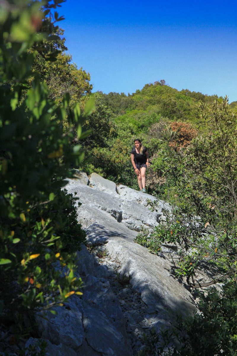 Trek sur le GR Pic Saint-Loup