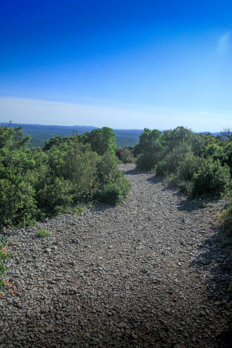 Trek sur le GR Pic Saint-Loup