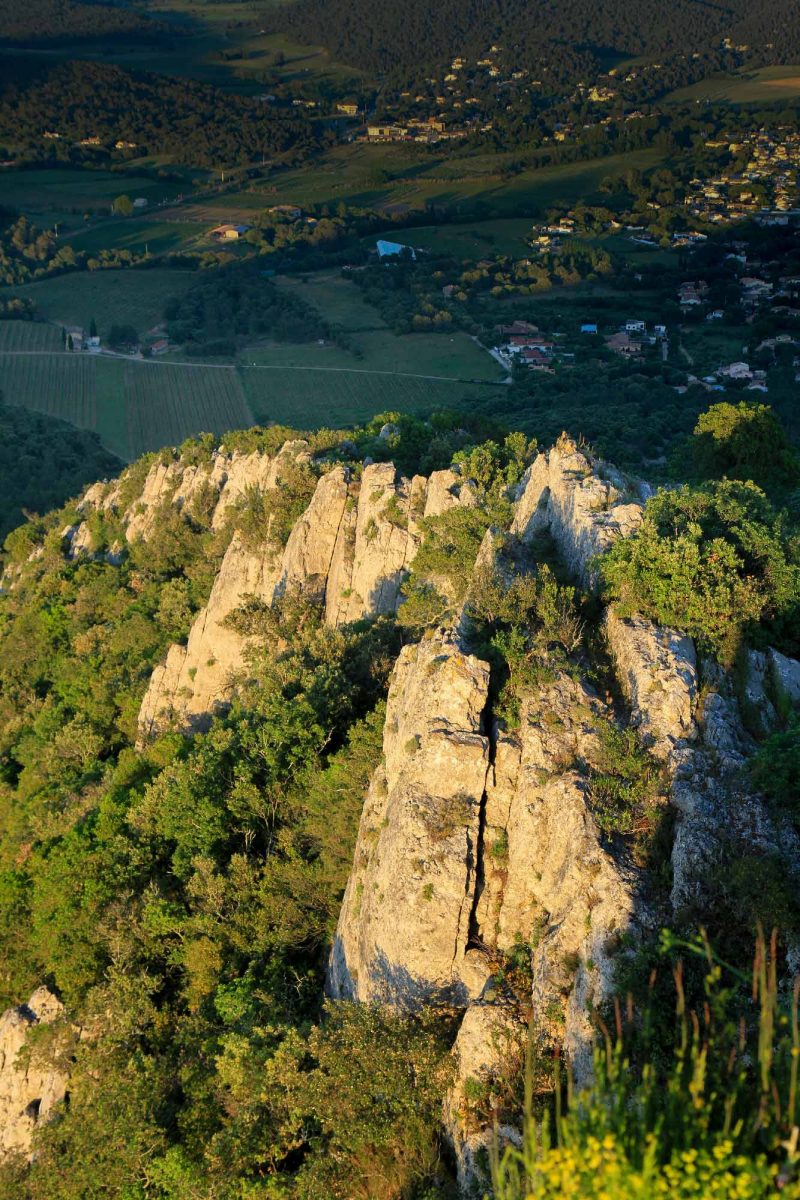 Trek sur le GR Pic Saint-Loup