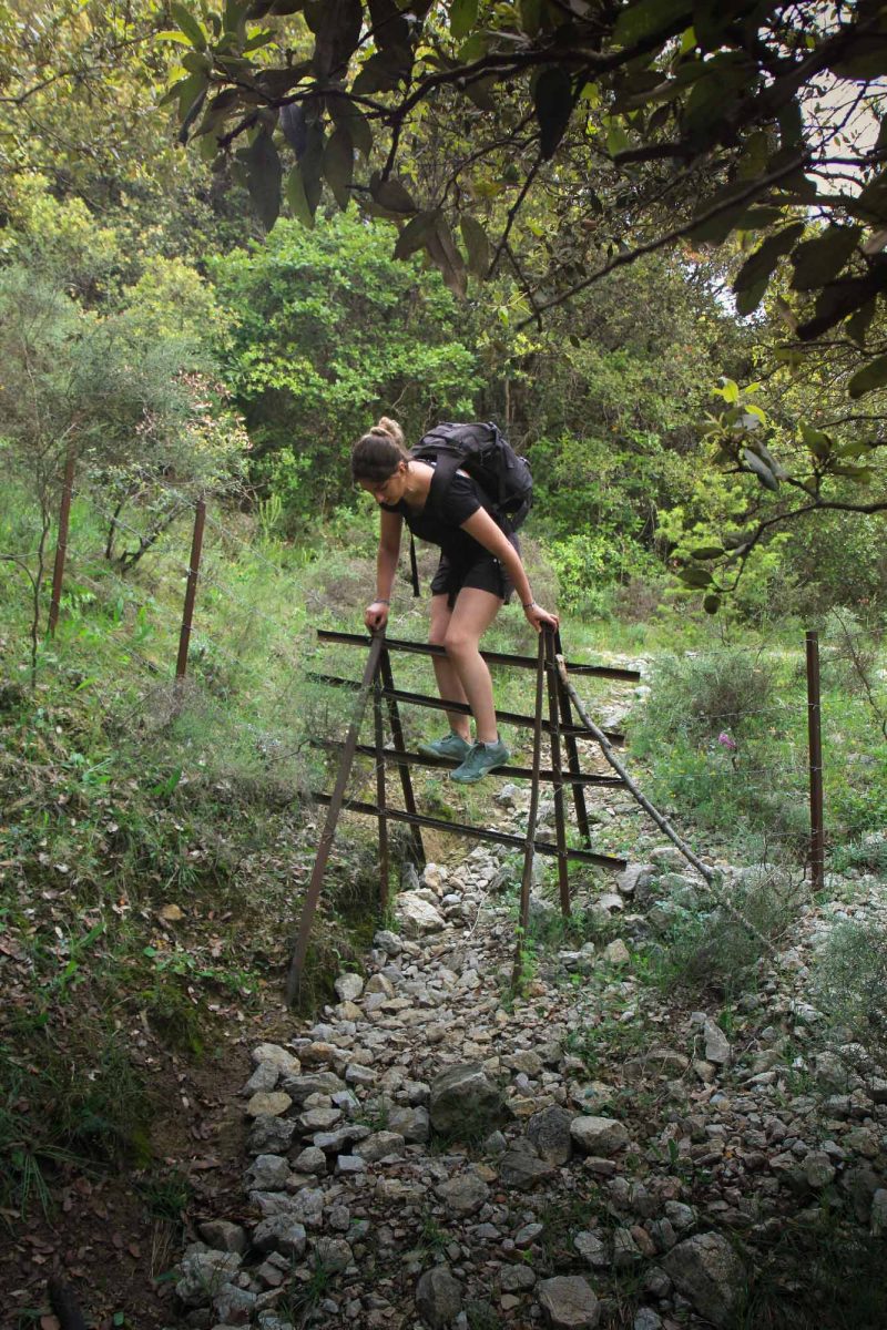 Trek sur le GR Pic Saint-Loup