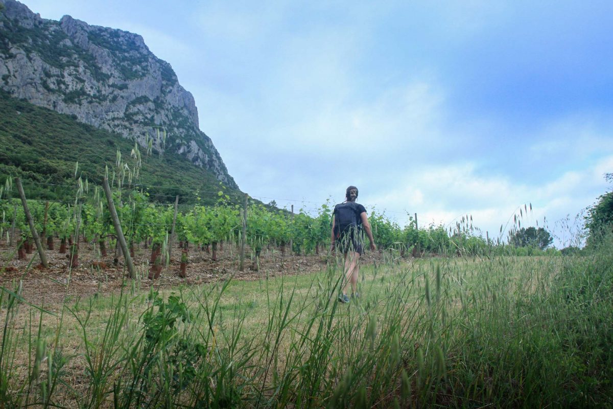 Trek sur le GR Pic Saint-Loup