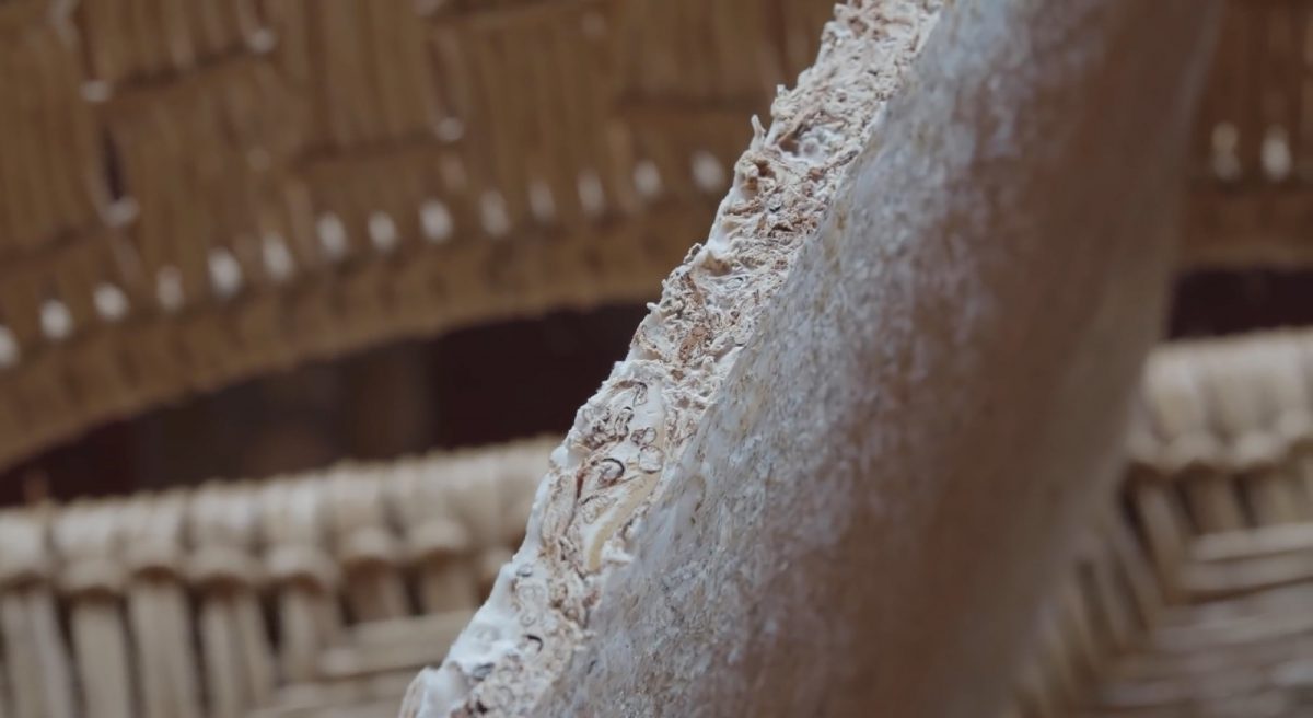 Réparation d'une plante de surf avec un panneau de mycélium