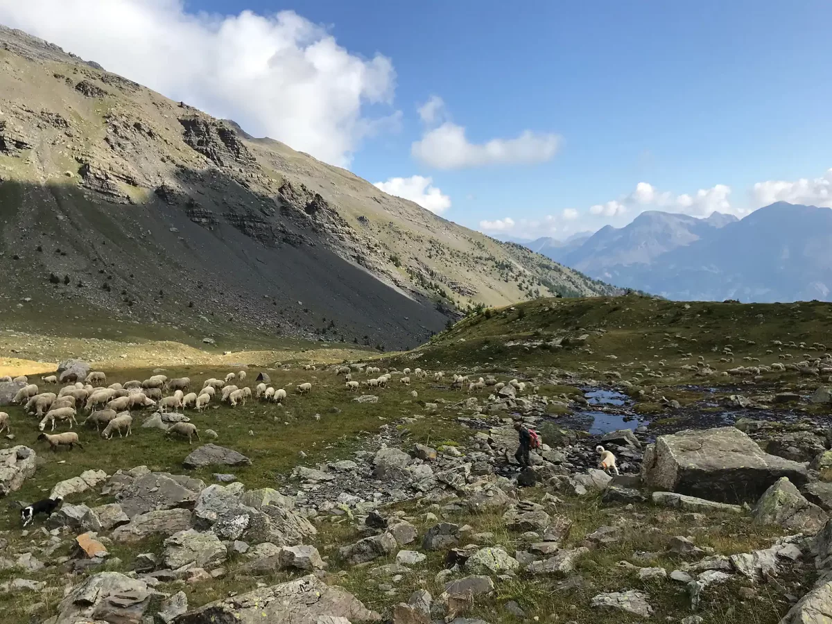 Rando Briançon : Aigliere