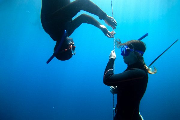 Bluenery académie, plongée sous marine en apnée