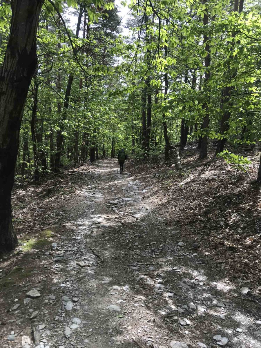 Chemin de Stevenson