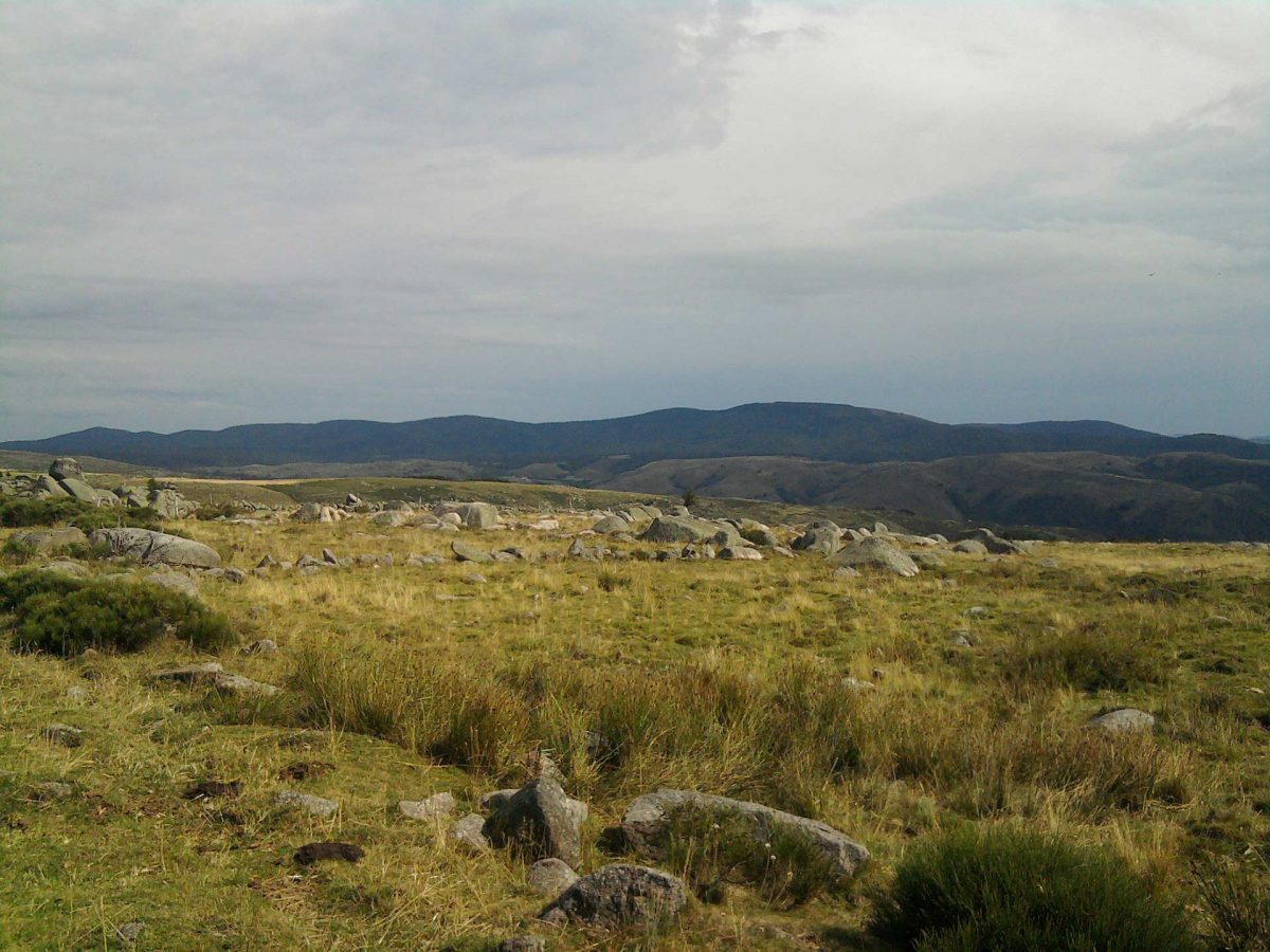 Chemin de Stevenson