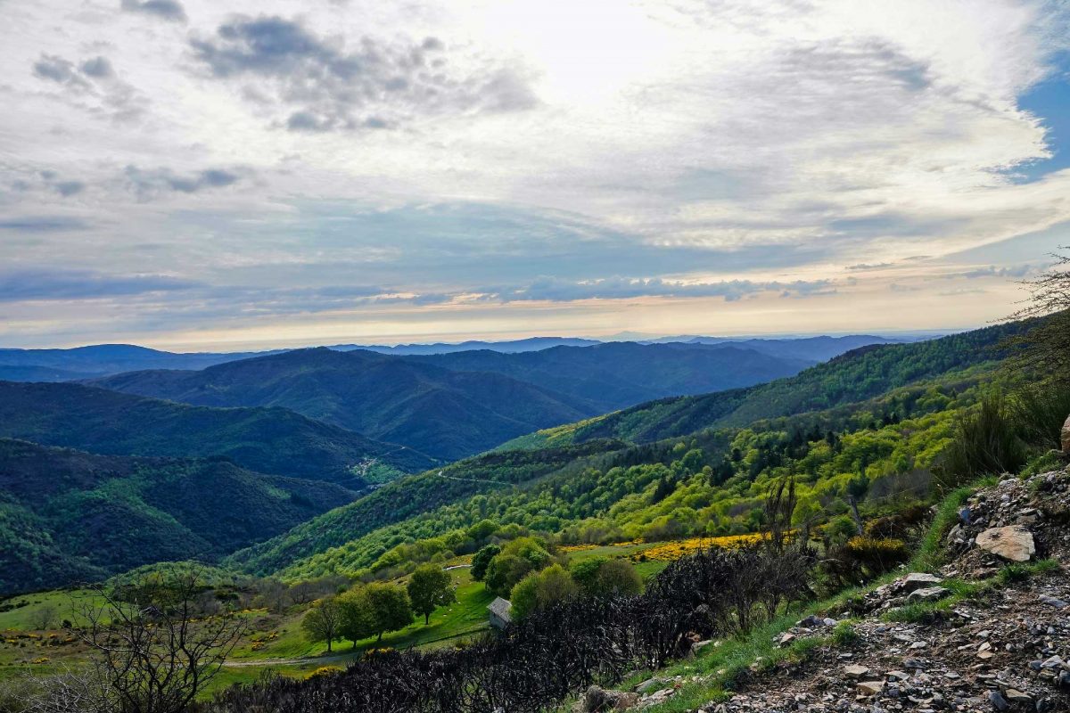 Chemin de Stevenson