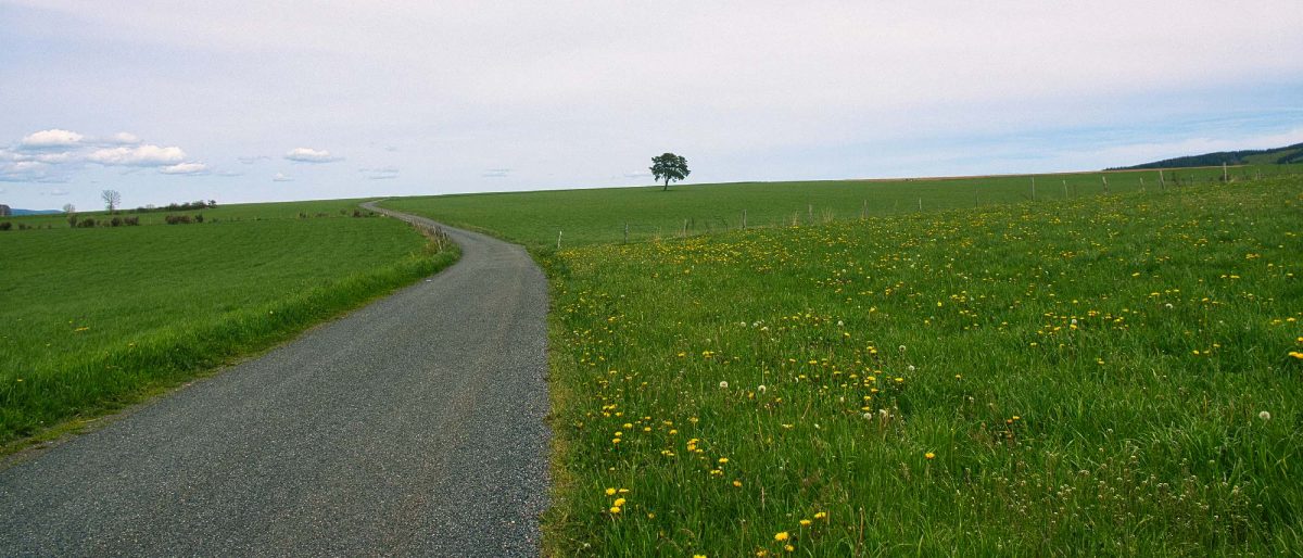 Chemin de Stevenson