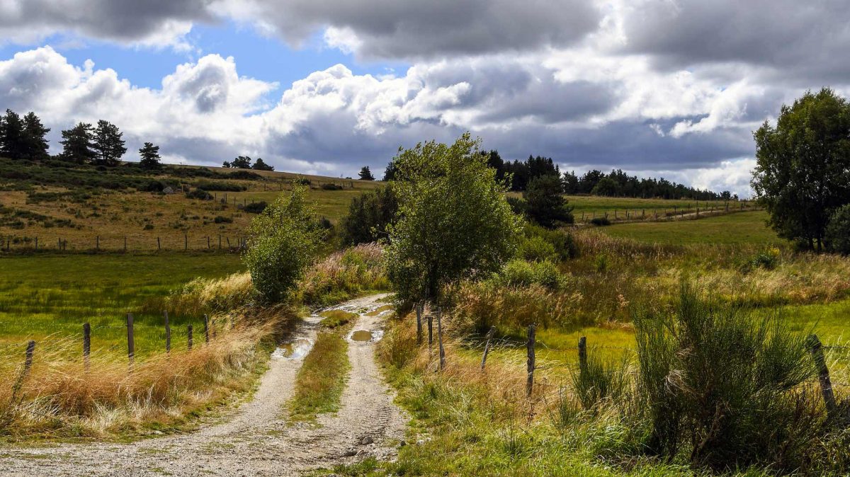 Chemin de Stevenson