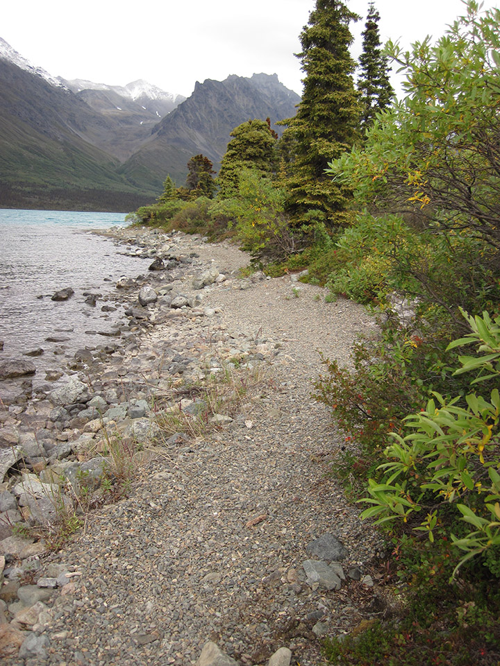 paysage rivière Alaska