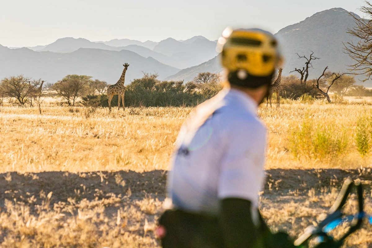 Steven le Hyaric traverse à vélo (gravel) le désert de Namibie