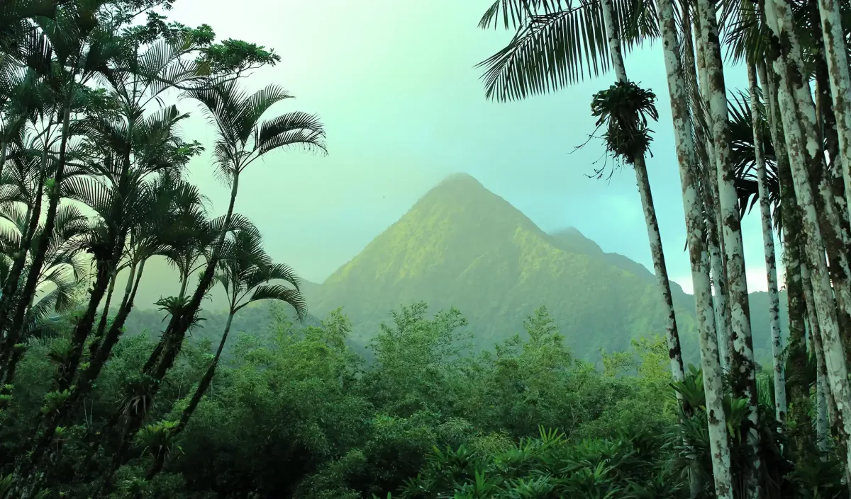 Jardin de Balata, Martinique