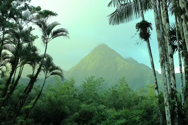 Jardin de Balata, Martinique