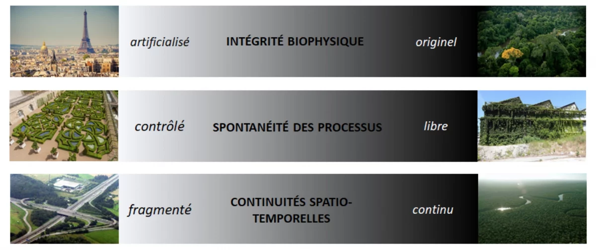 Schéma des trois gradients servant à caractériser la naturalité des paysages.