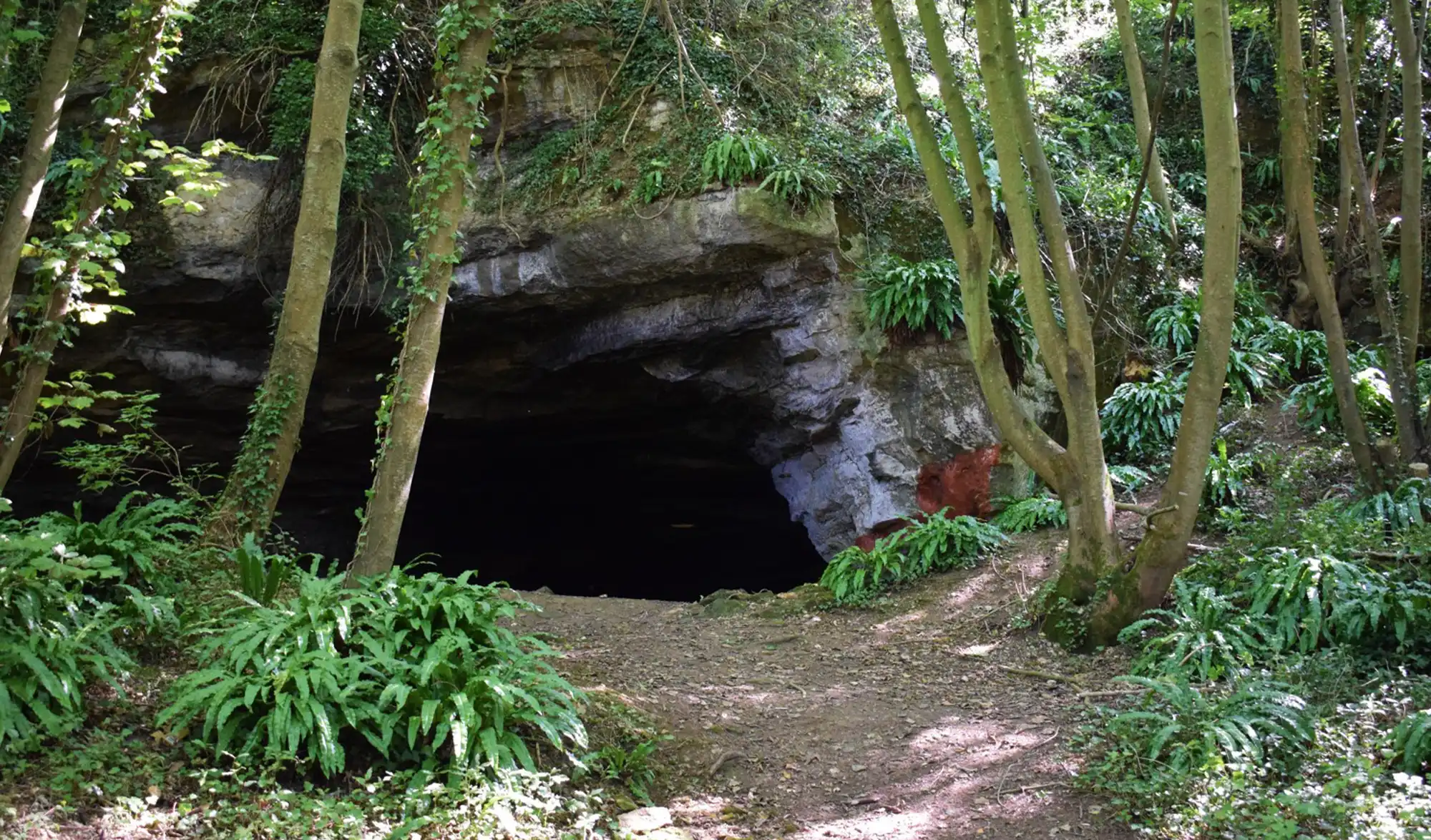 Valle de la mue