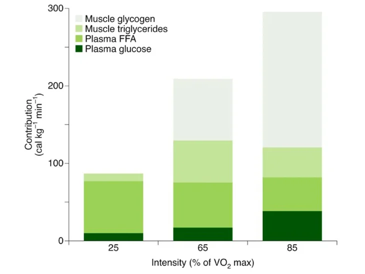Nature Metabolism