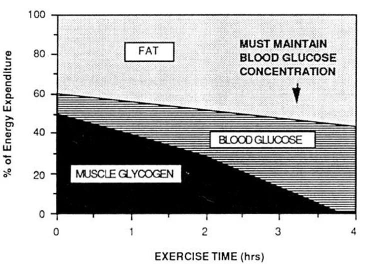 International Journal of Sports Medicine