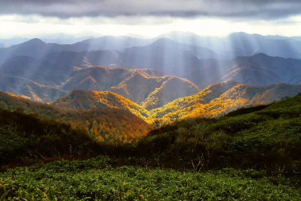 Montagnes et forêts au couleurs de l'automne