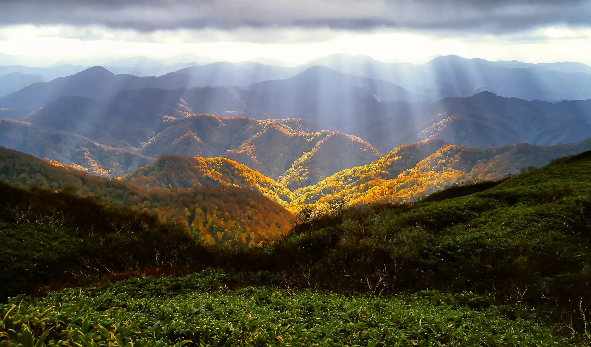 Montagnes et forêts au couleurs de l'automne