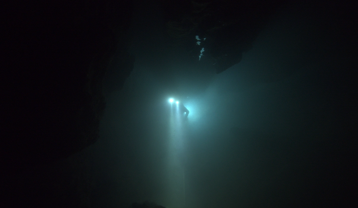The rescue documentaire