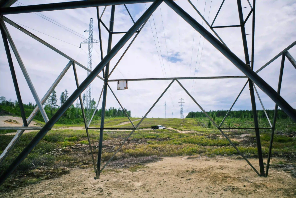 Plantation d'arbres dans les forêts du Canada