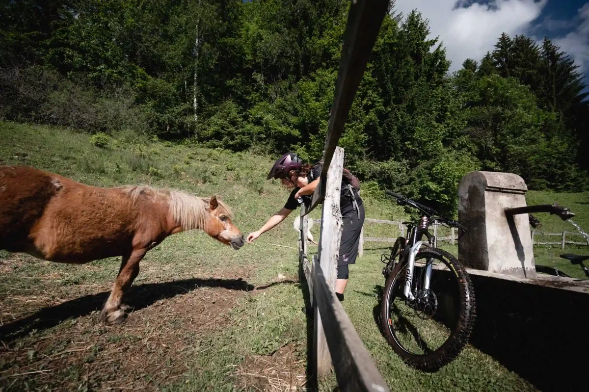 Aventure VTT High Perimeter autour du lac d'Annecy