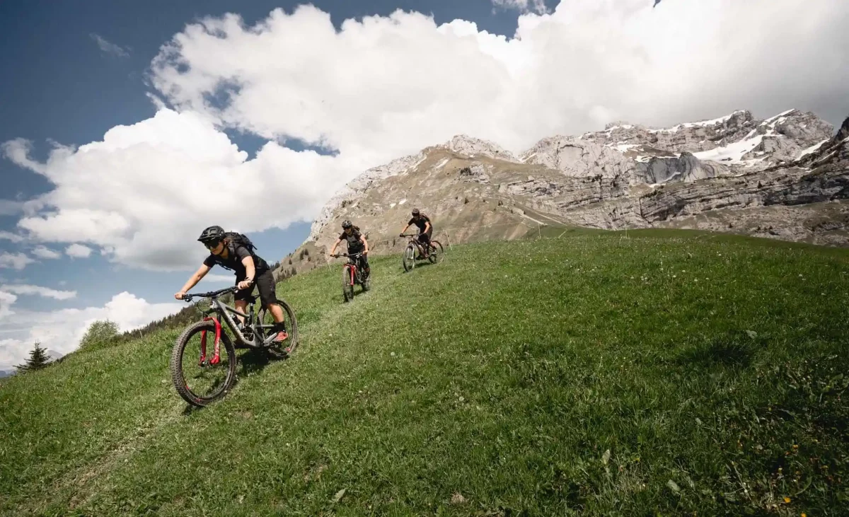 Montagnes en fond pendant l'aventure VTT High Perimeter autour du lac d'Annecy