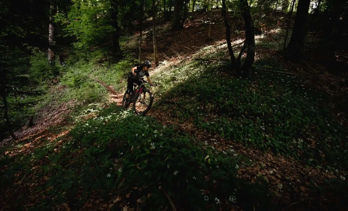 Aventure VTT High Perimeter autour du lac d'Annecy