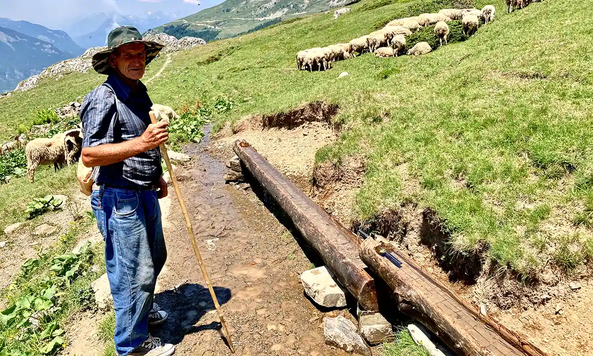 Paysan montagnes moutons