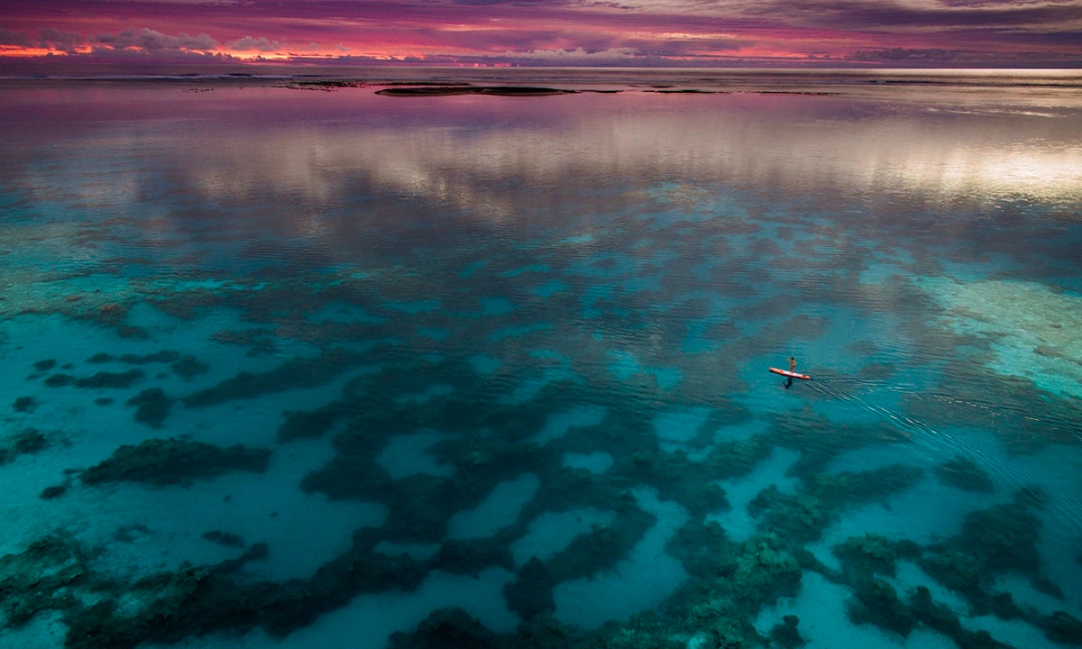 Photo drone paddle