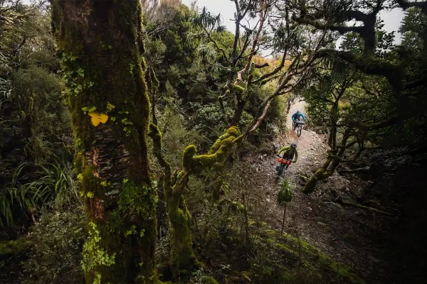 Bikepacking en Nouvelle-Zélande