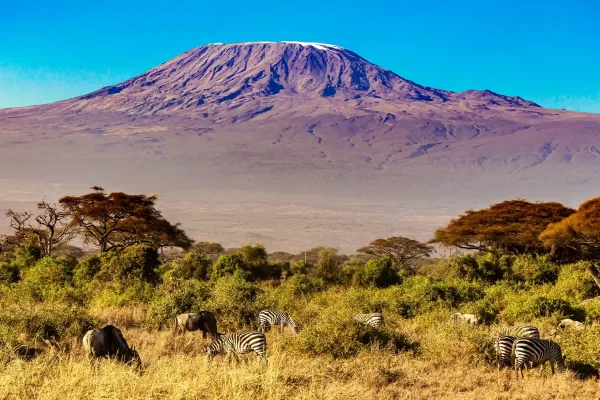 Kilimandjaro savane Tanzanie
