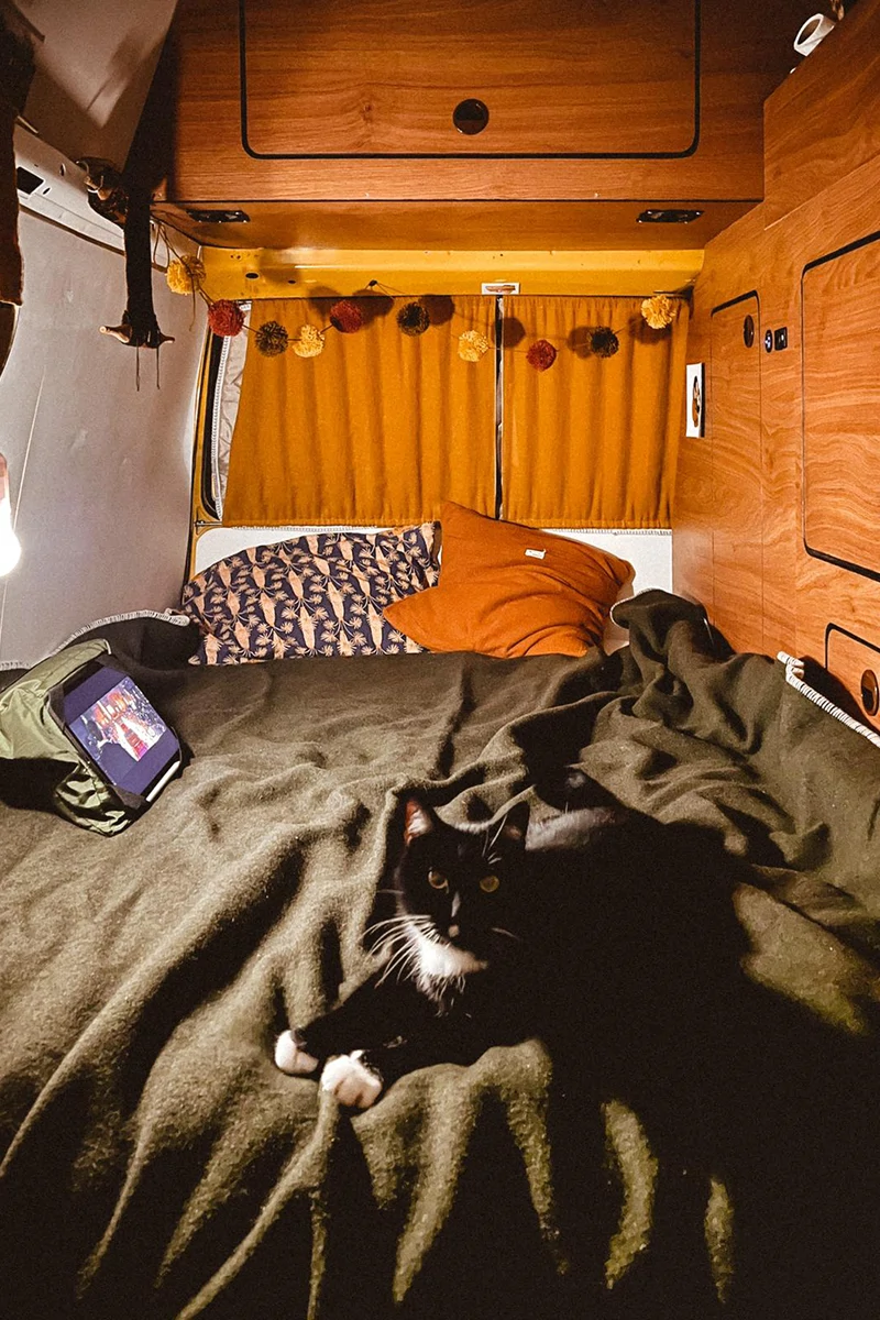 lit van Volswagen T3