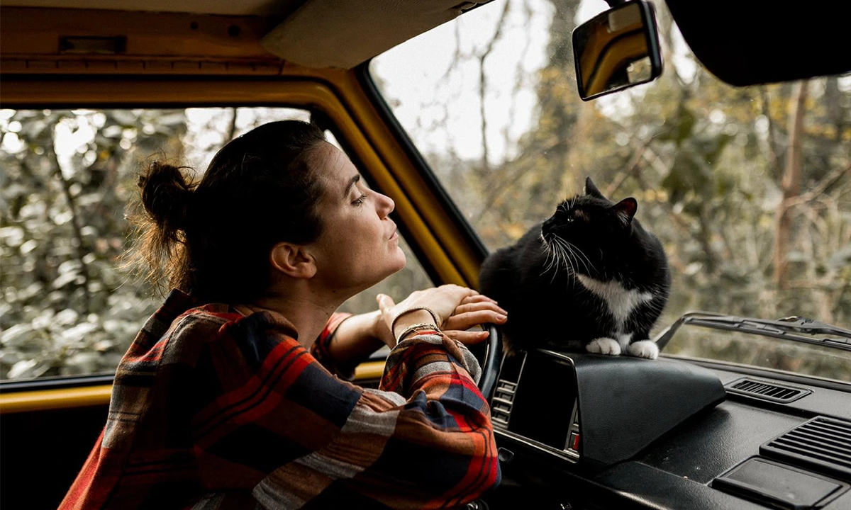 Vanlife avec un chat
