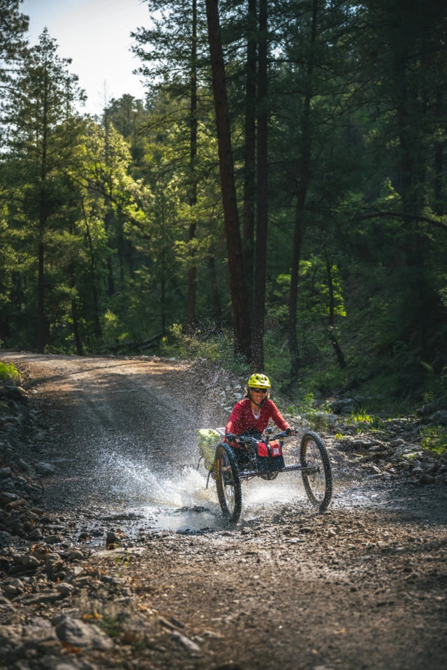 dans les bois tour divide