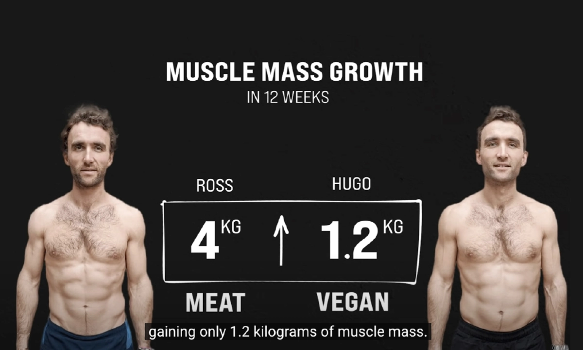 Les jumeaux Turner résultats expérience scientifique