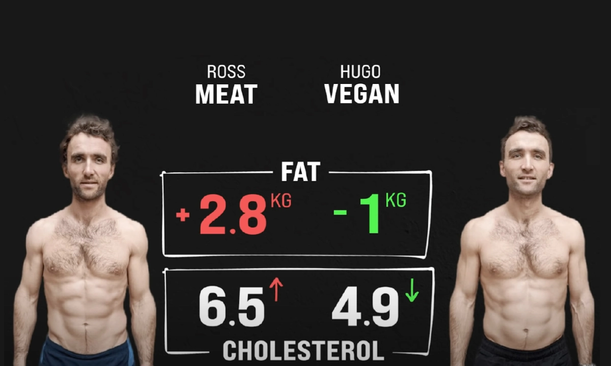 Les jumeaux Turner résultats expérience scientifique