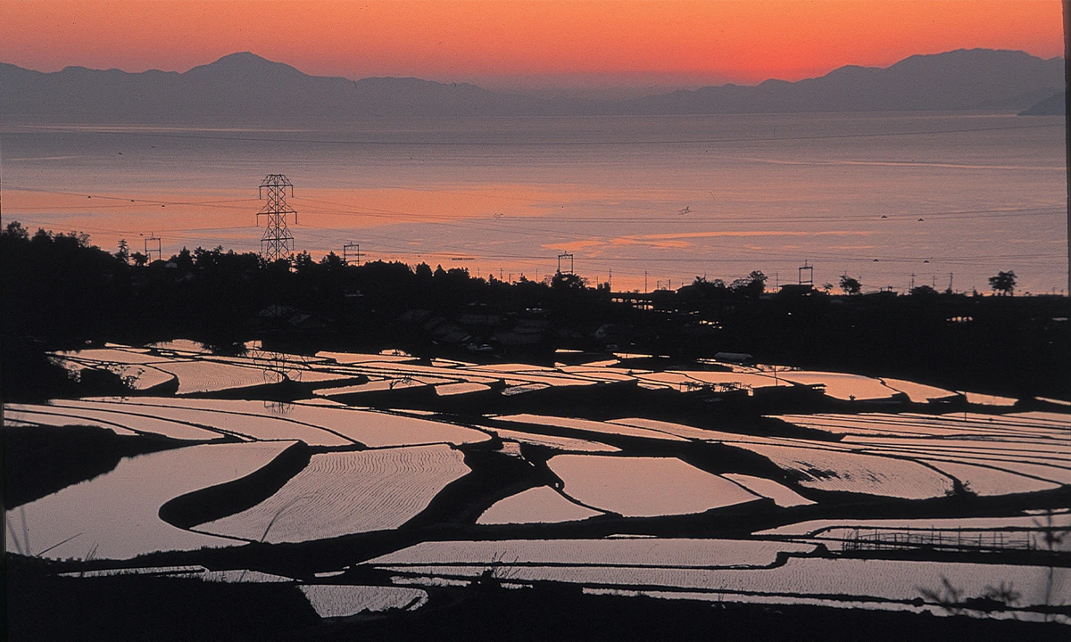 Rizières lac Biwa, Tanada - Japon, couché de soleil