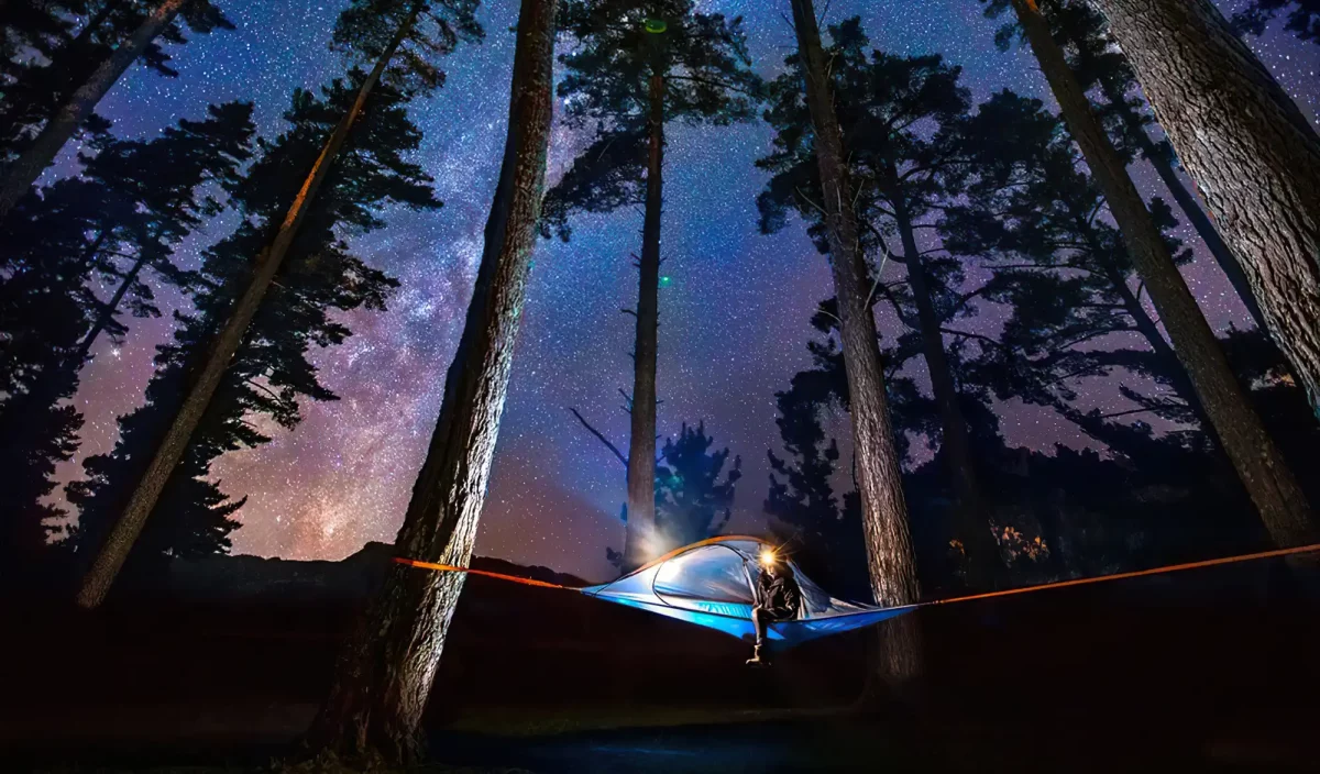 Tentsile tente dans les arbres