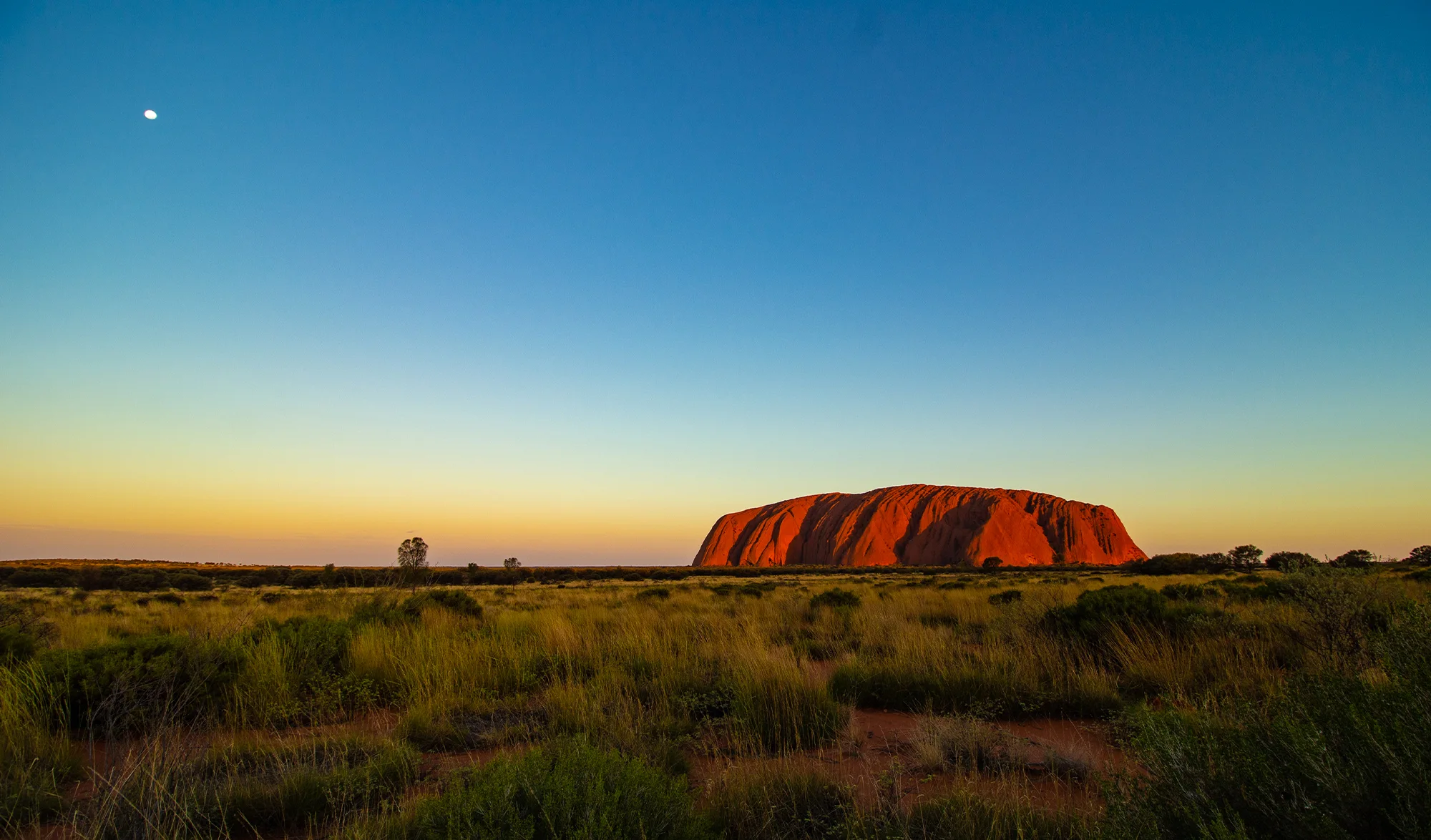 Uluru